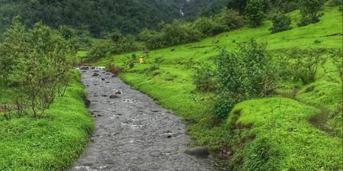 Punsusila Laxmi Narasimha Swamy greenish nature